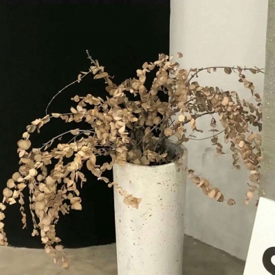 兽设创意设计灵感FurryQQ群